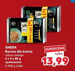 Kaufland Karma dla kotów Sheba 8-pak oferta