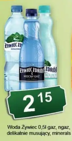 Eden Woda Żywiciel Zdrój oferta