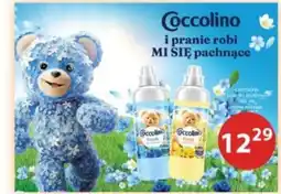 Drogerie Laboo Coccolino płyn do prania oferta