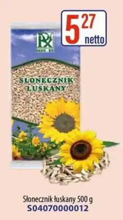 AT Slonecznik Luskany oferta