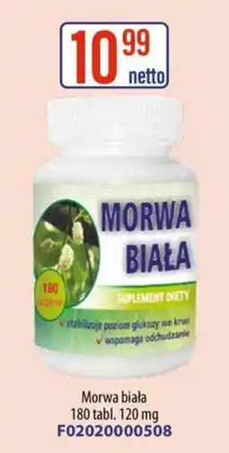 AT Morwa biała oferta