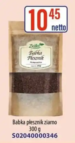 AT Zołko Babka Plesznik oferta