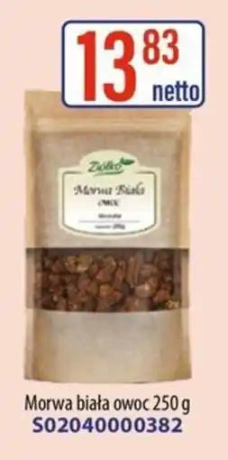 AT Morwa Biała oferta