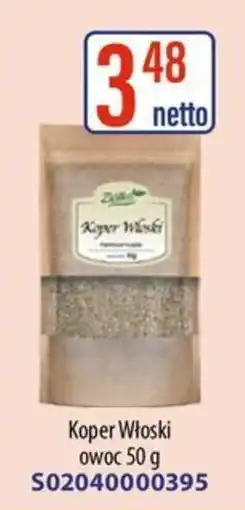 AT Koper Włoski oferta