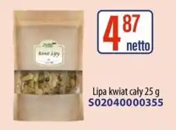 AT Kwiat Lipy oferta
