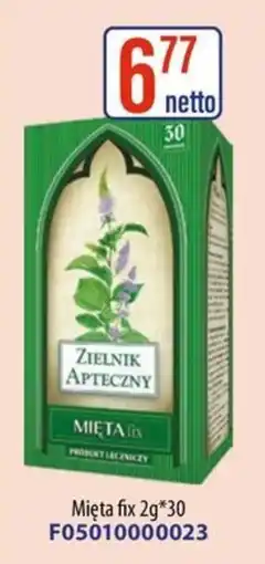 AT Zielnik Apteczny Mięta fix oferta