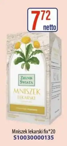 AT Zielnik Świata Mniszek Lekarski oferta