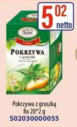 AT Pokrzywa z gruszką oferta