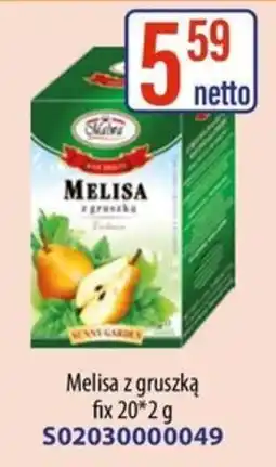 AT Melisa z gruszką oferta