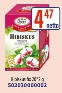 AT Hibiskus oferta