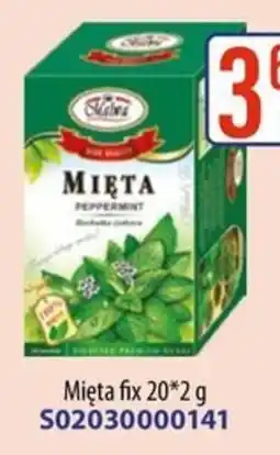 AT Mięta fix oferta
