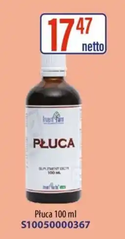 AT Pluca oferta