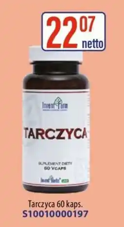 AT Tarczyca oferta