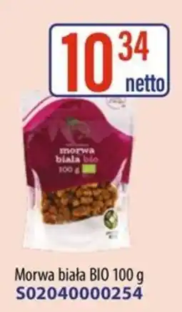 AT Morwa biała BIO oferta