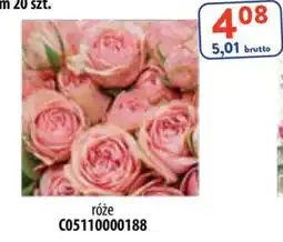 AT róże oferta