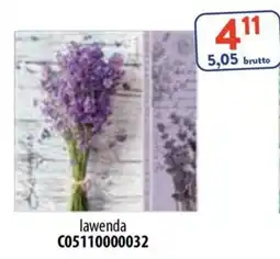 AT lawenda oferta