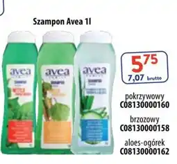 AT Szampon Avea oferta