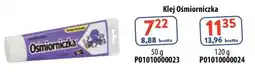 AT Klej Ośmiorniczka oferta