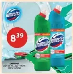 Drogerie Laboo Domestos płyn do WC oferta