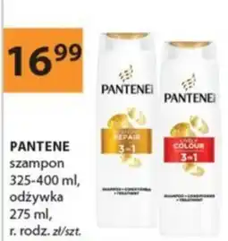Drogerie Laboo PANTENE szampon odżywka oferta