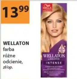 Drogerie Laboo WELLATON farba różne odcienie oferta