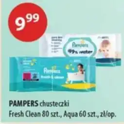 Drogerie Laboo PAMPERS chusteczki Fresh Clean oferta