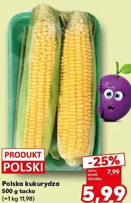 Kaufland Polska kukurydza oferta