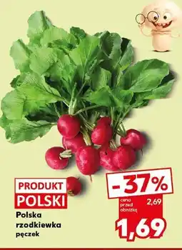 Kaufland Polska rzodkiewka oferta