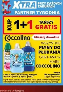 Kaufland Płyny do płukania Coccolino oferta