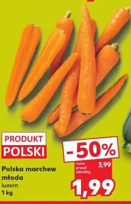 Kaufland Polska marchew młoda luzem oferta