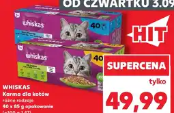 Kaufland WHISKAS Karma dla kotów oferta