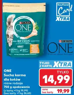 Kaufland ONE Sucha karma dla kotów oferta