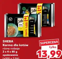 Kaufland SHEBA Karma dla kotów oferta