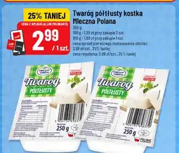 Polomarket Twaróg półtłusty kostka Mleczna Polana oferta