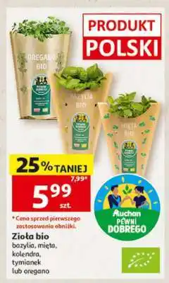 Auchan Zioła bio oferta