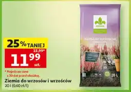 Auchan Ziemia do wrzosów i wrzośców oferta