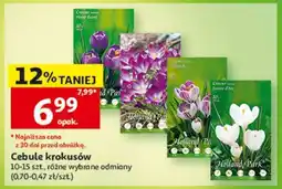 Auchan Cebule krokusów oferta