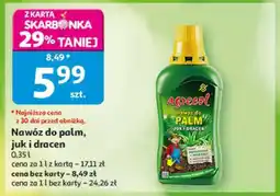 Auchan agrecol nawóz do PALM JUK I DRACEN oferta