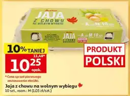 Auchan Jaja z chowu na wolnym wybiegu oferta