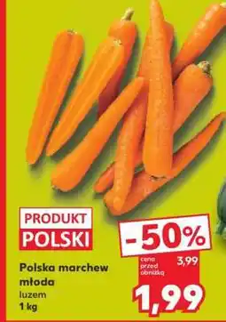 Kaufland Polska marchew młoda oferta