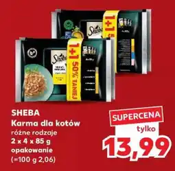 Kaufland SHEBA Karma dla kotów oferta