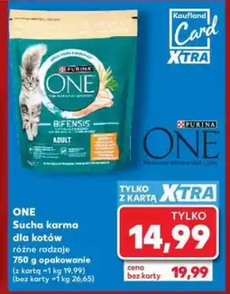 Kaufland ONE Sucha karma dla kotów oferta