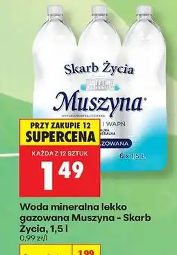Biedronka Woda mineralna lekko gazowana Muszyna Skarb Życia, 1,5 l oferta