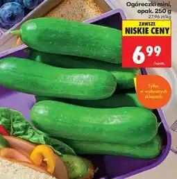 Biedronka Ogóreczki mini, opak. 250 g oferta
