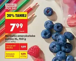 Biedronka Borówka amerykańska polska XL, 150 g oferta