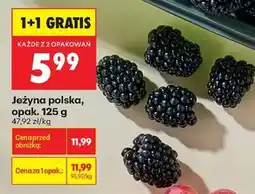 Biedronka Jeżyna polska, opak. 125 g oferta