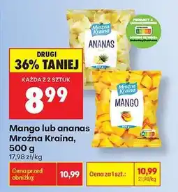 Biedronka Mango lub ananas Mroźna Kraina, 500 g oferta