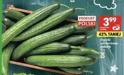 Delikatesy Centrum Ogórki szklarniowe polskie oferta