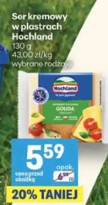Delikatesy Centrum Ser kremowy w plastrach Hochland oferta