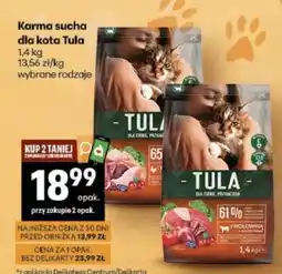 Delikatesy Centrum Karma sucha dla kota Tula oferta